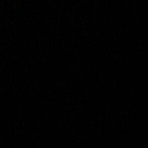 Meet your Posher, Giselle